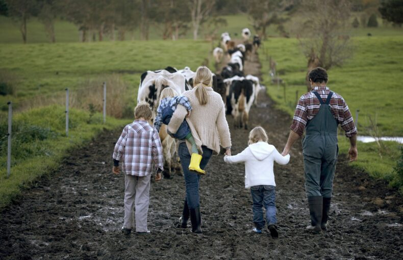 Why Farm Trader