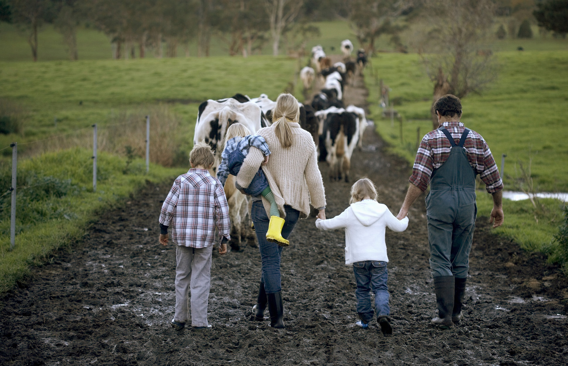 Why Farm Trader