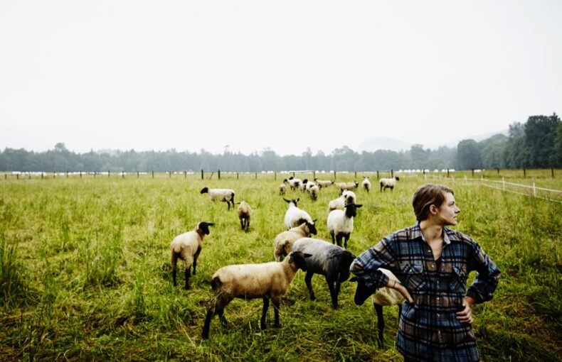 livestock relief