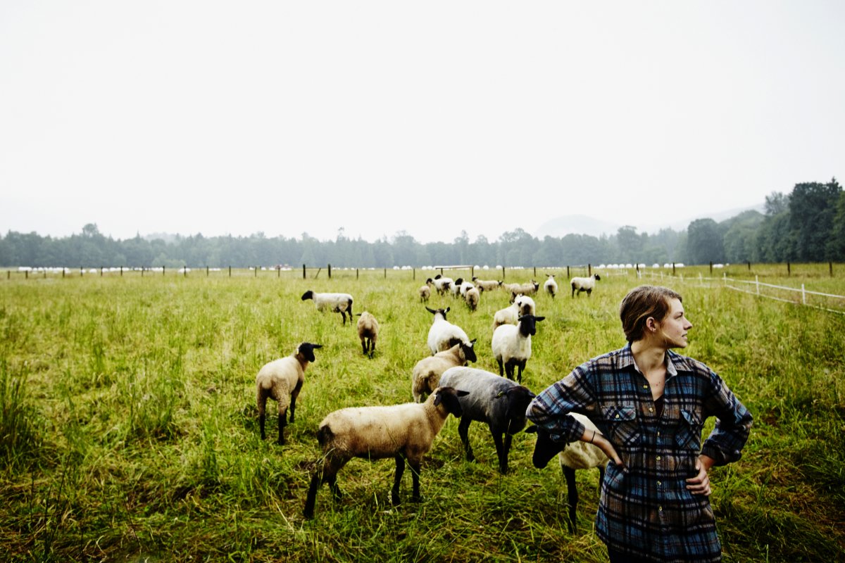 livestock relief