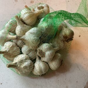 Mixed soft neck garlic bulbs, seed size, 1 lb