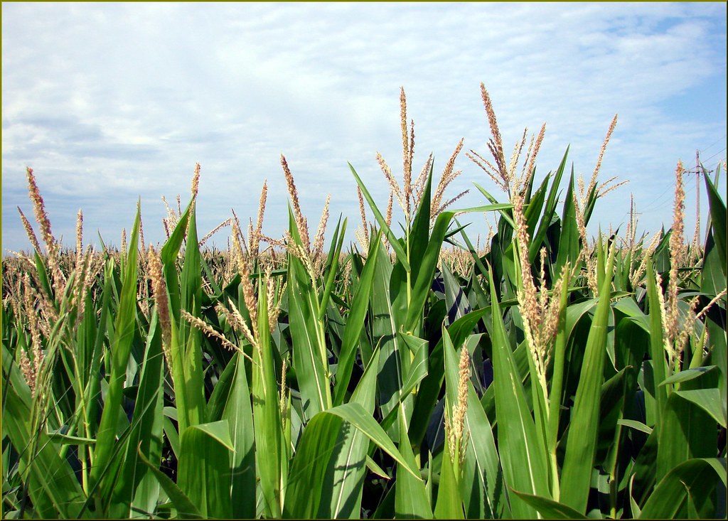 farm financial hope