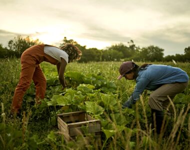 farm labor crisis