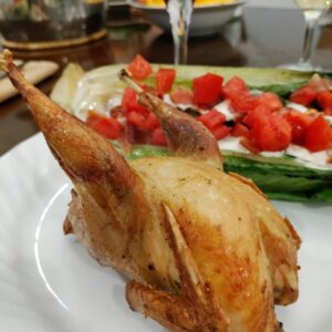 Chukar Partridge