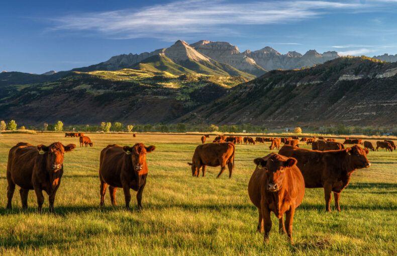 Colorado Department of Agriculture