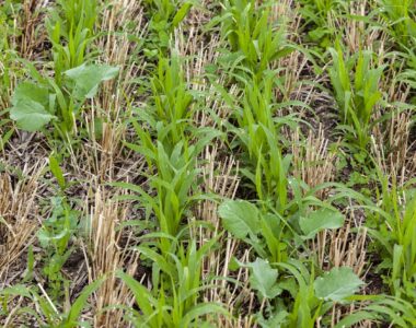 farm technology innovations