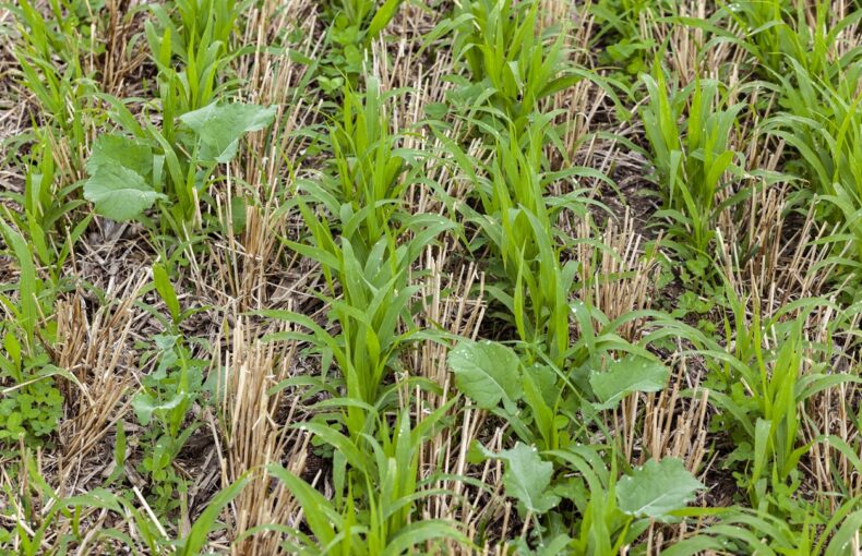 farm technology innovations