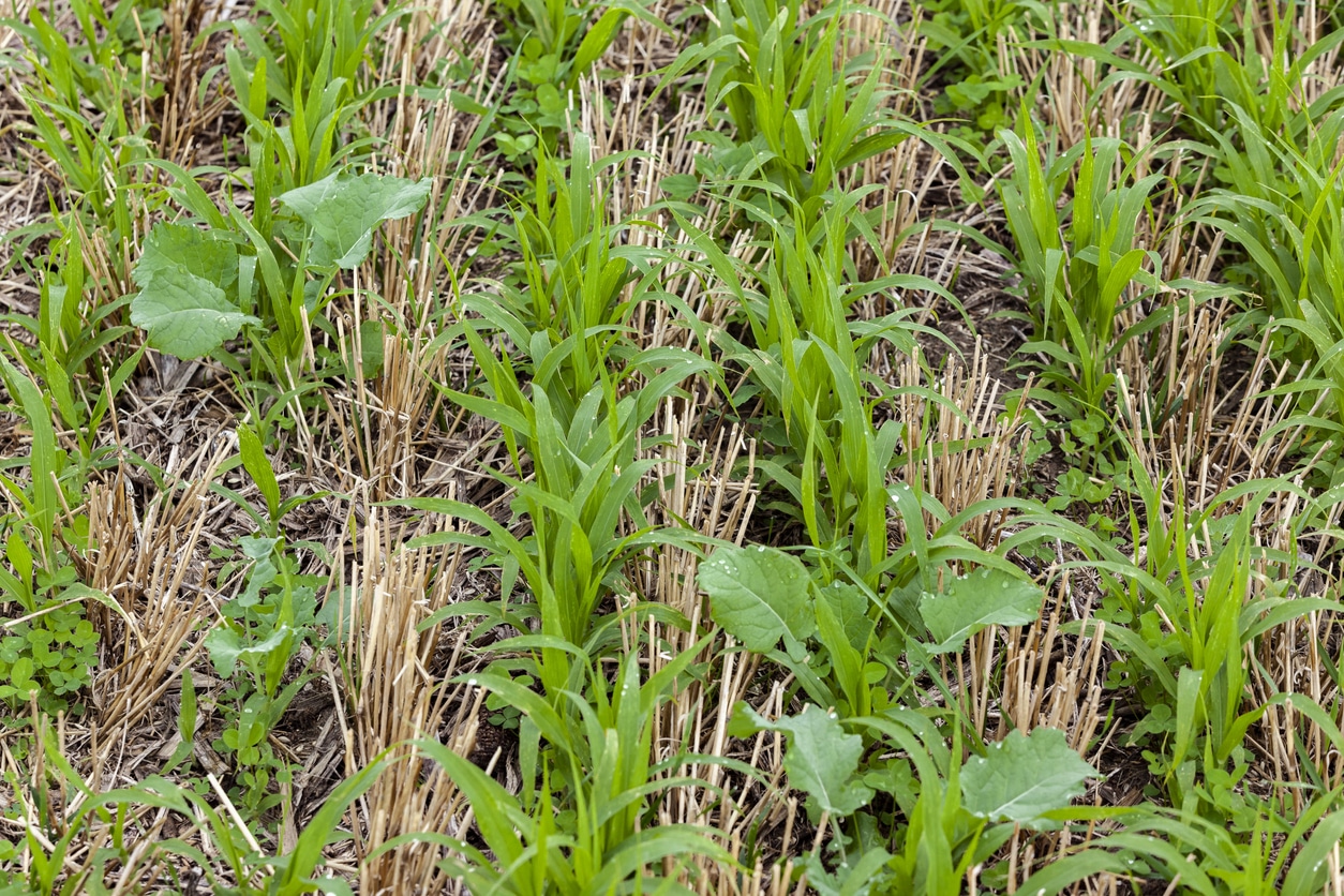farm technology innovations