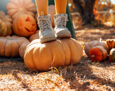 harvest roots of Halloween