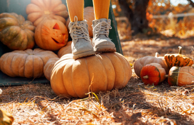 harvest roots of Halloween