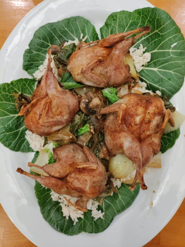 Quail