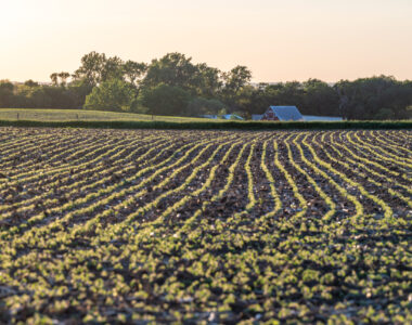soybean farmer relief