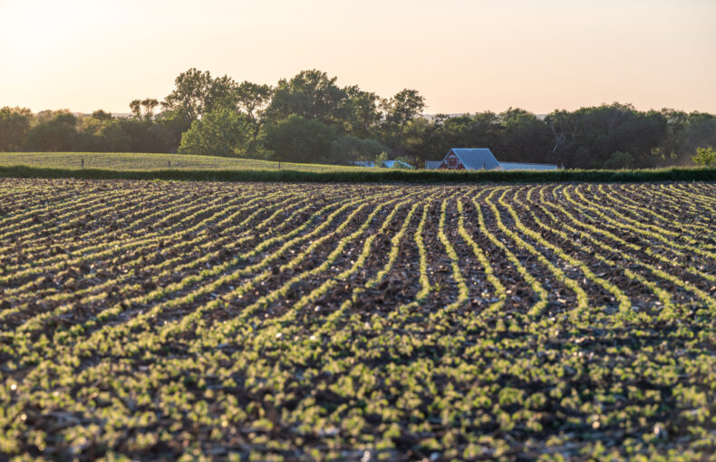 soybean farmer relief