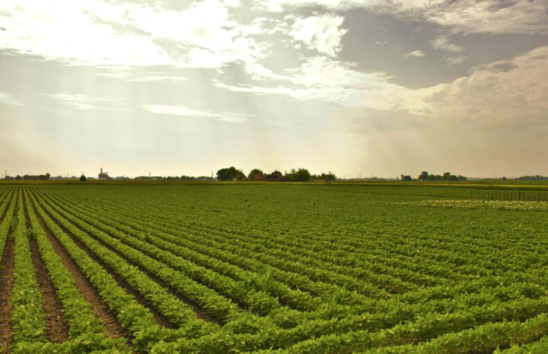 shutdown delaying U.S. agriculture
