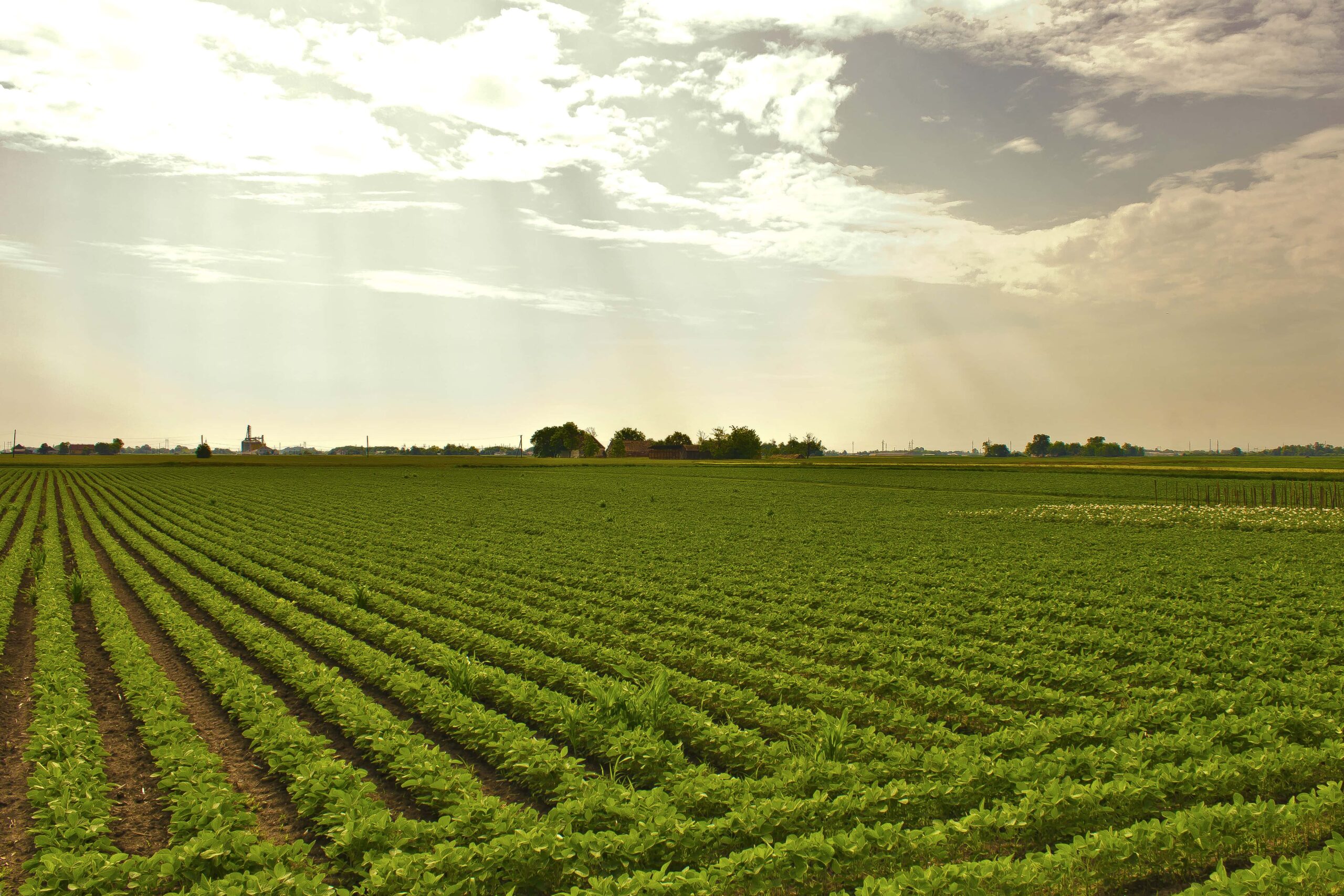 shutdown delaying U.S. agriculture