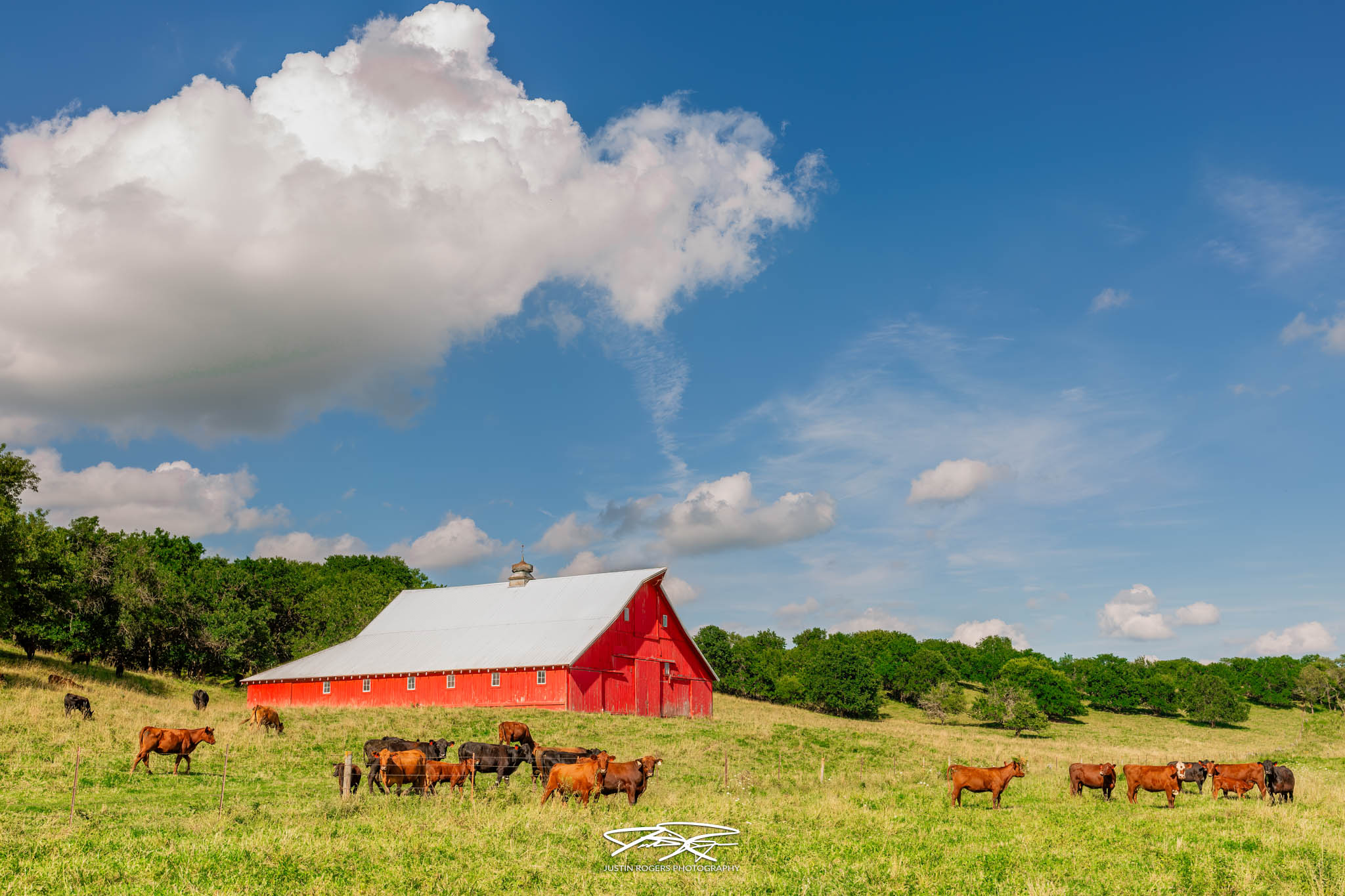 USDA beef industry plan