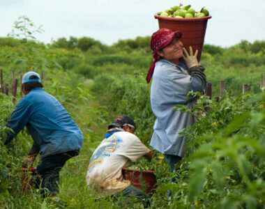 Farm Workers