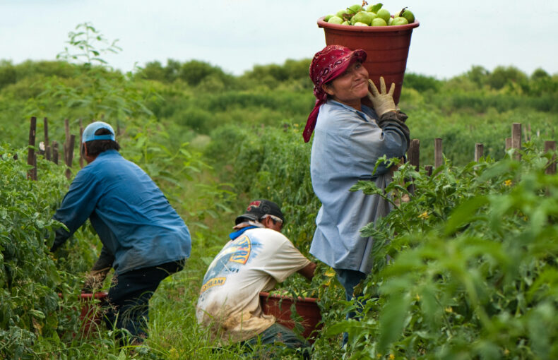 Farm Workers