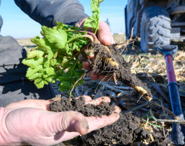 regenerative farming funding