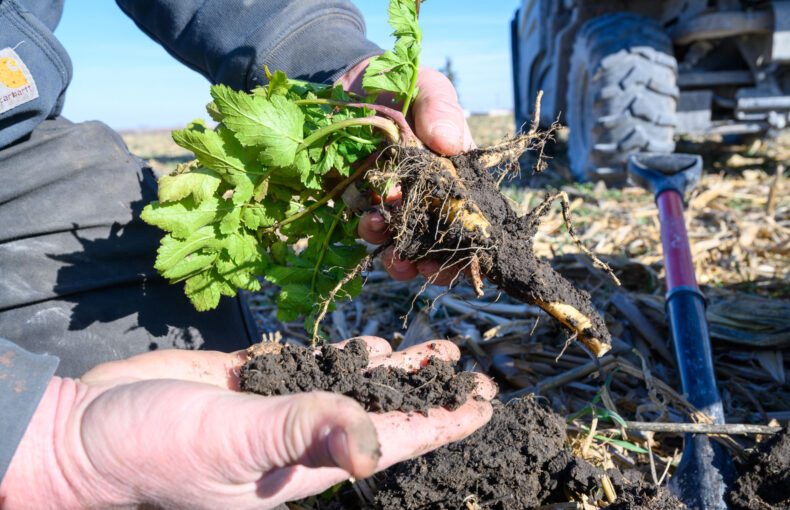 regenerative farming funding