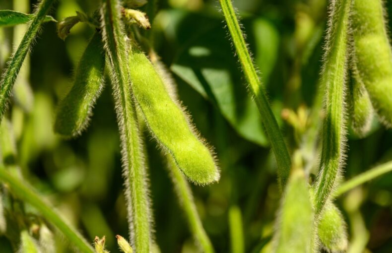 today’s agriculture news