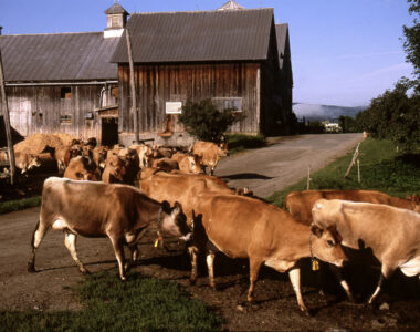 expanded farm assistance