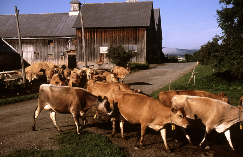 expanded farm assistance