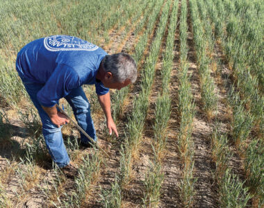 farm relief legislation