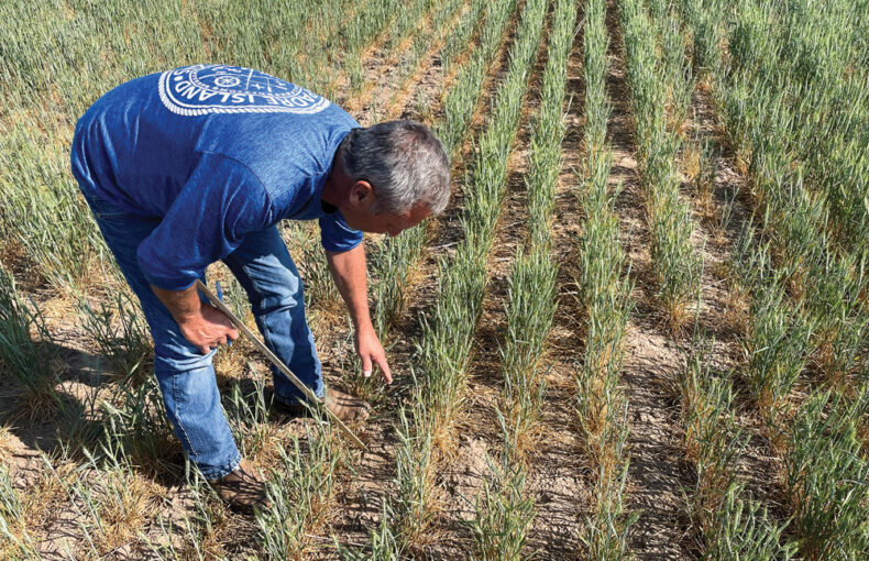 farm relief legislation