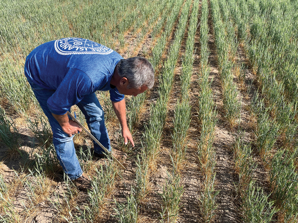 farm relief legislation