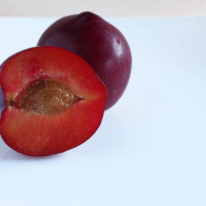 Elephant Heart Plum Tree Scion, Cutting, Scionwood