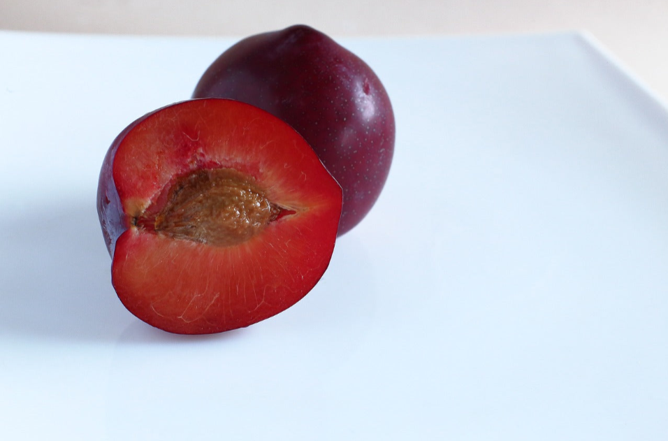 Elephant Heart Plum Tree Scion, Cutting, Scionwood