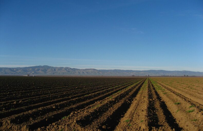 agriculture grants this year