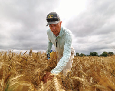 Current agriculture headlines