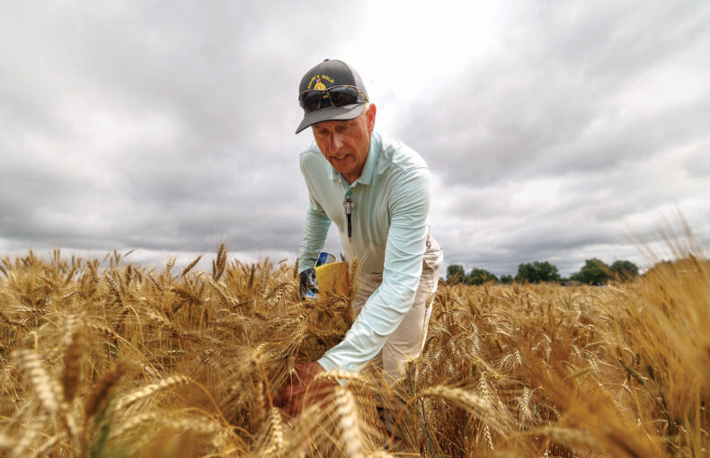 Current agriculture headlines