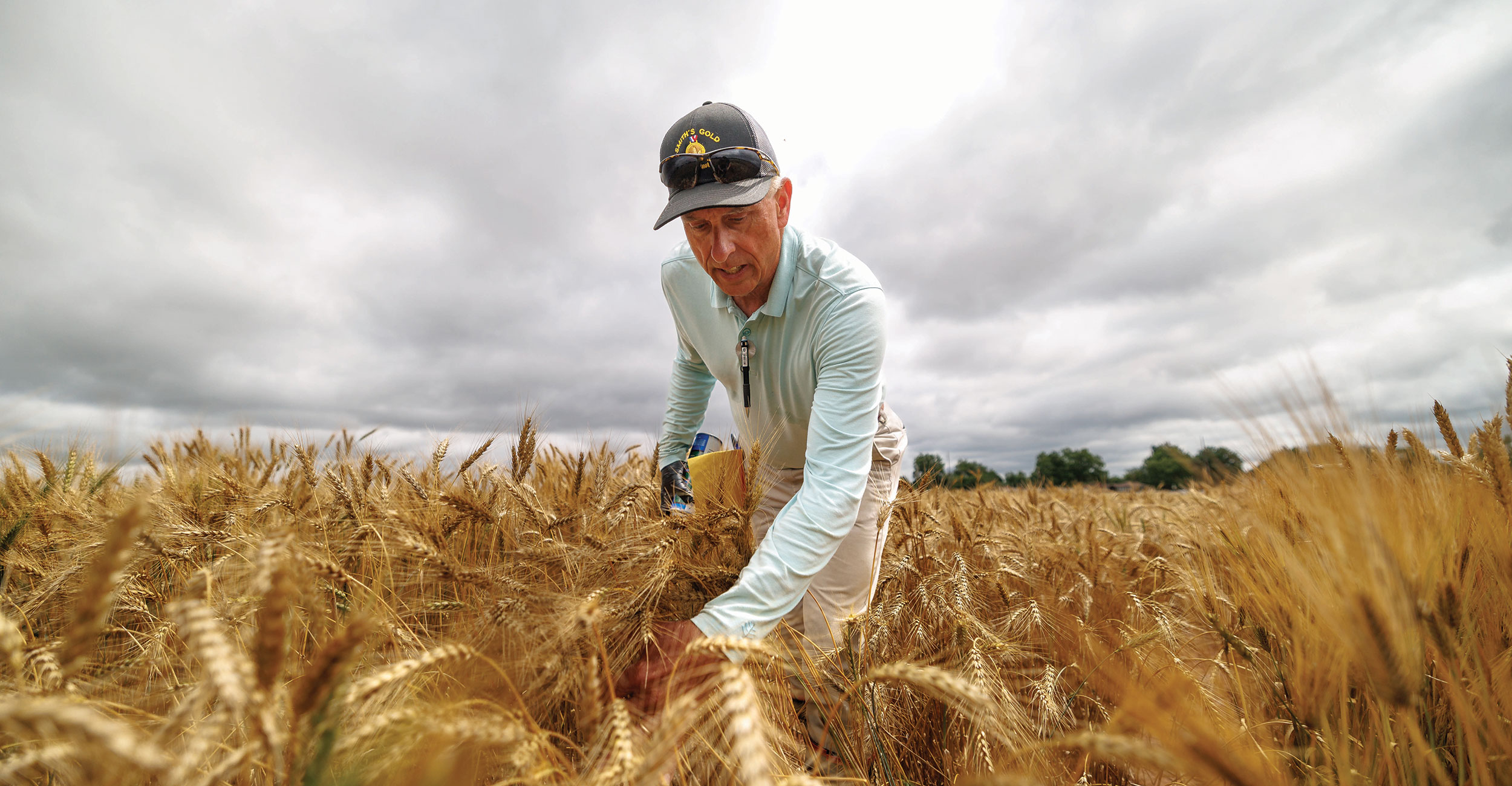 Current agriculture headlines