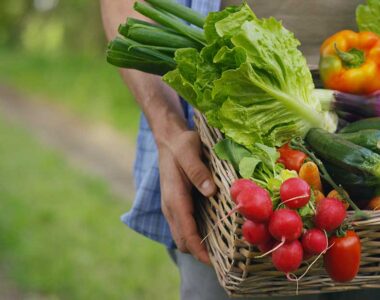 Food security and national stability