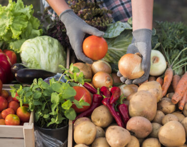 selling farm products online