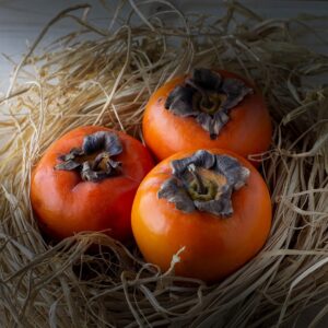 3 Fuyu Persimmon Scions, Cuttings, Scionwood