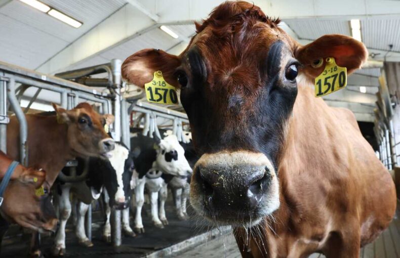 Illinois farmer stress support program