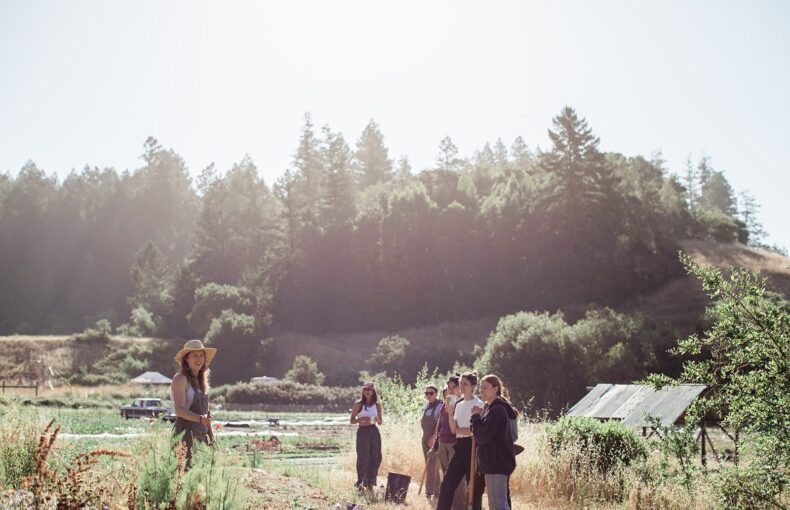 farm-to-school partnerships