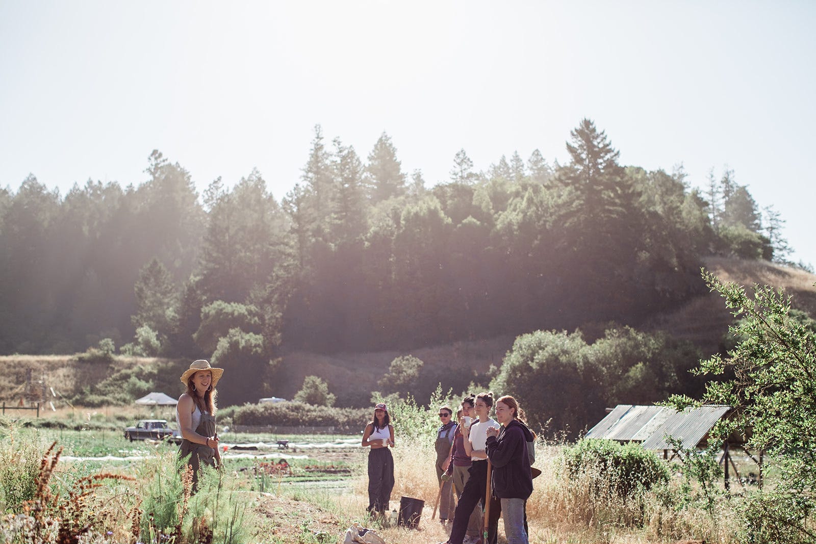 farm-to-school partnerships