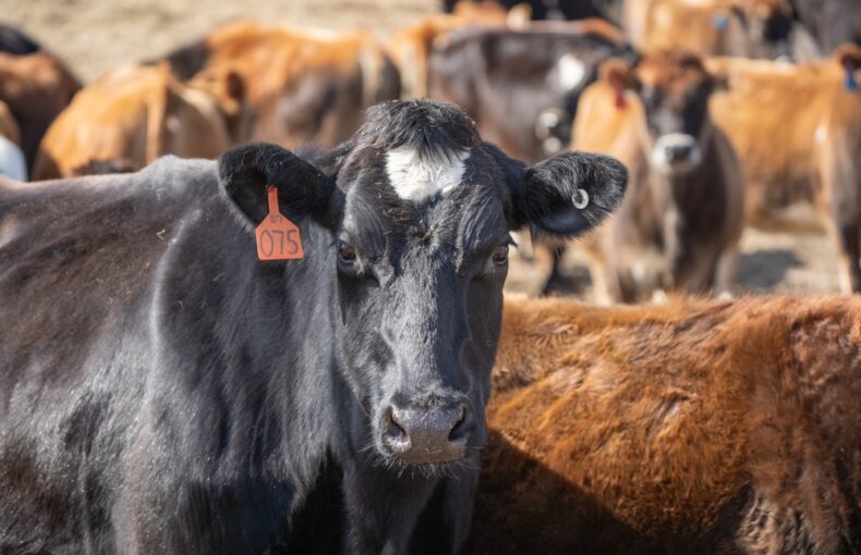 U.S.-Indonesia agriculture