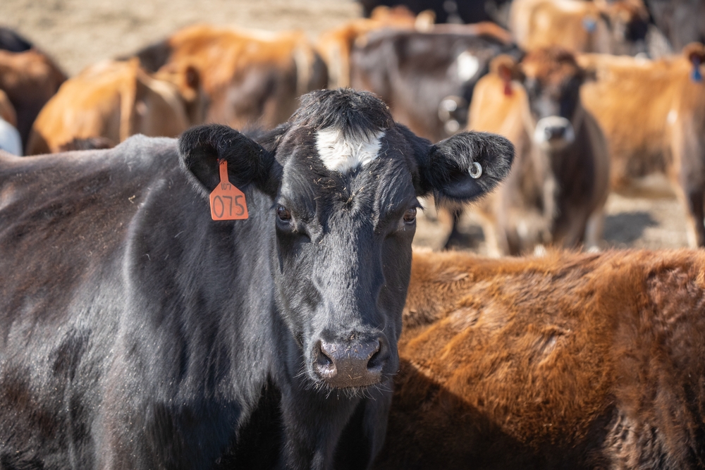 U.S.-Indonesia agriculture