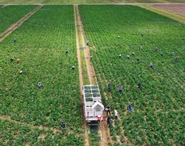 Farmer Bridge Assistance Program