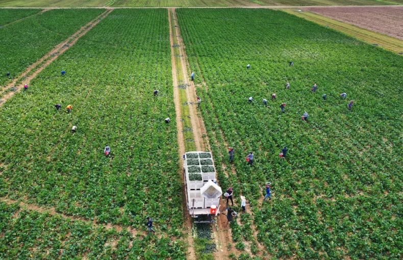 Farmer Bridge Assistance Program