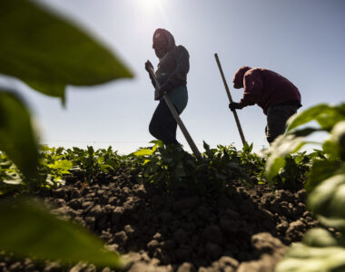 extreme heat concerns