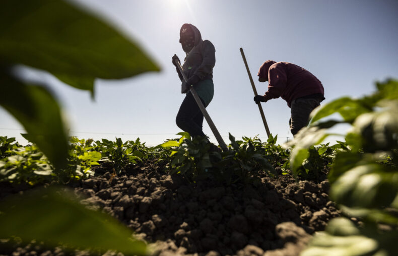 extreme heat concerns