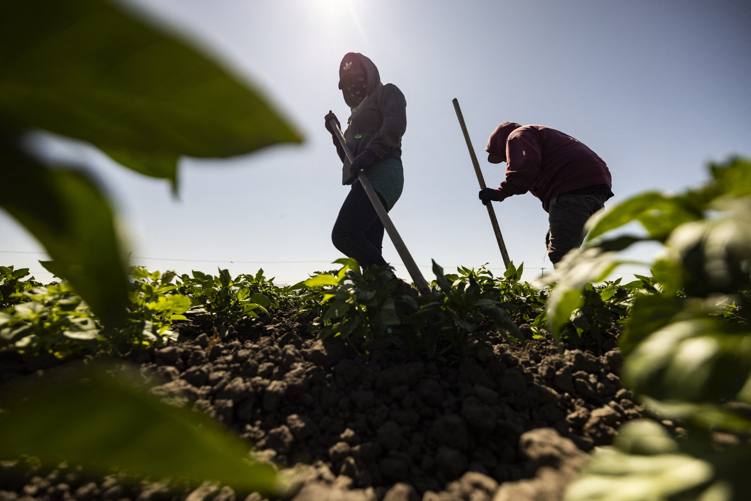 extreme heat concerns