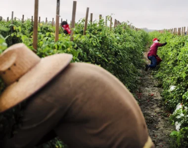 extreme heat concerns